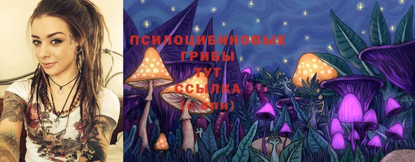 наркотики Гусев