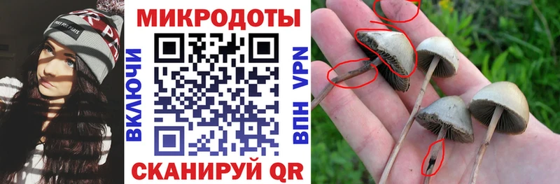 как найти наркотики  Енисейск  Псилоцибиновые грибы Psilocybine cubensis 