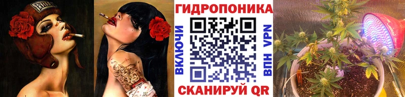 Бошки Шишки план Енисейск